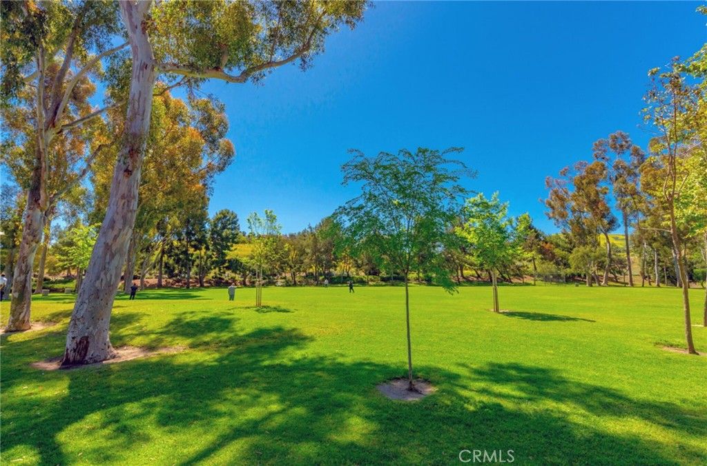 listing image 38