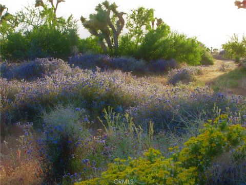 A home in Yucca Valley