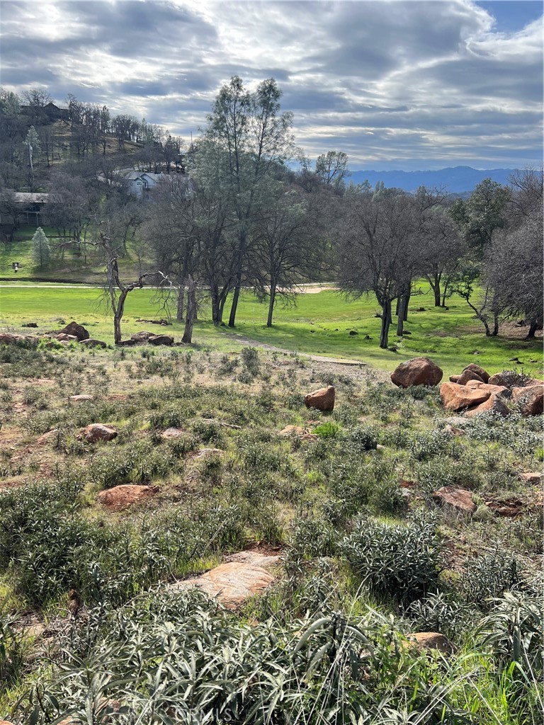 Nestled along the serene fairways of a prestigious golf course, this prime lot offers the perfect blend of tranquility and convenience. With stunning views of lush greens, this property provides an ideal canvas for your dream home. The lot is equipped with both an uninspected septic system and a water hookup. Whether you're an avid golfer or simply seeking a peaceful retreat, this location promises the ultimate in luxury living. Don't miss the opportunity to build your perfect home in this sought-after, golf course community!
