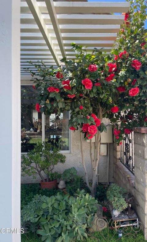A home in Camarillo