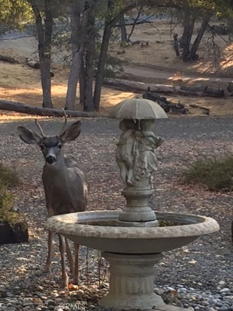 A home in Oakhurst