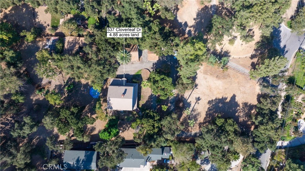 537 Cloverleaf Drive