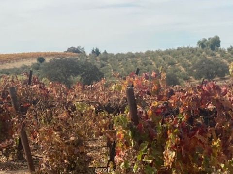 A home in Paso Robles