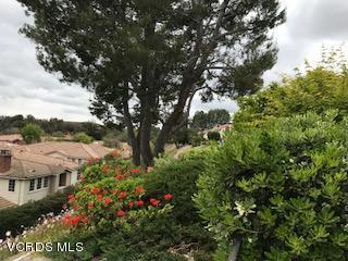 Green Meadow Condos-342 - Residential