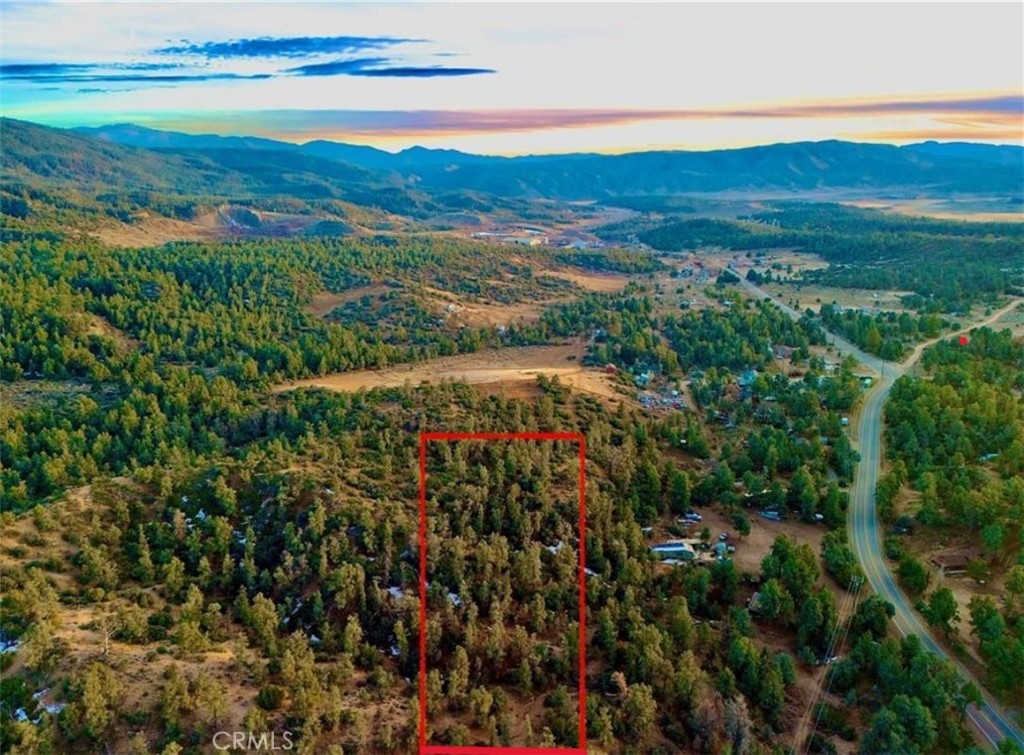 Beautiful views on top of a beautiful piece of raw land. Here is where your imagination can create amongst fresh air, pine trees and serene tranquility. Imagine your dream home with a forest of trees surrounding you! Broker nor agent verify lot size or property boundaries. Agents required to do their due diligence and investigate accessibility for utilities and property boundaries.