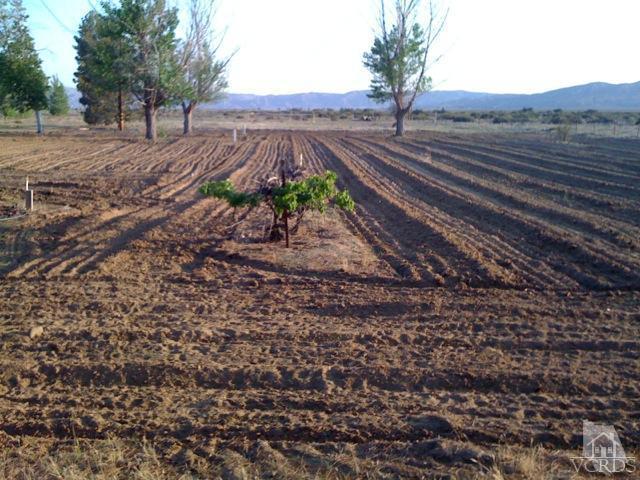 Not Applicable - Residential