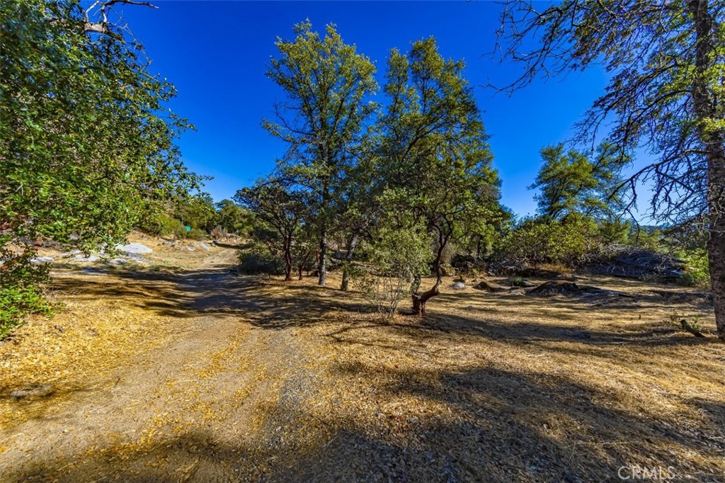 Wonderful location to build your dream home! With a new well drilled in June, 2020 and production was rated at 15 GPM. Well pump is in place and ready to pump into your storage tank. Bring your house plans and/or RV and camp on over 11 acres. Partially cleared with a small pad and travel trailer included. Complete privacy on these lovely acres while gated and partially fenced. Come and enjoy the views while you choose the ideal spot to start your dream come true home!