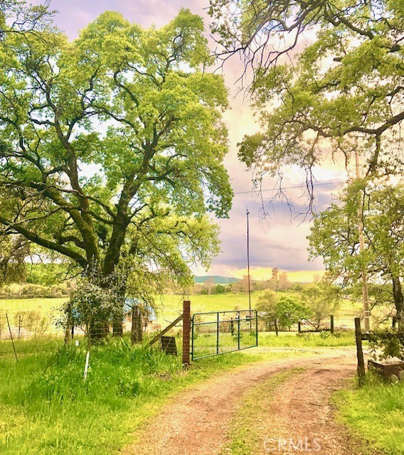 11363 Shadow Lane