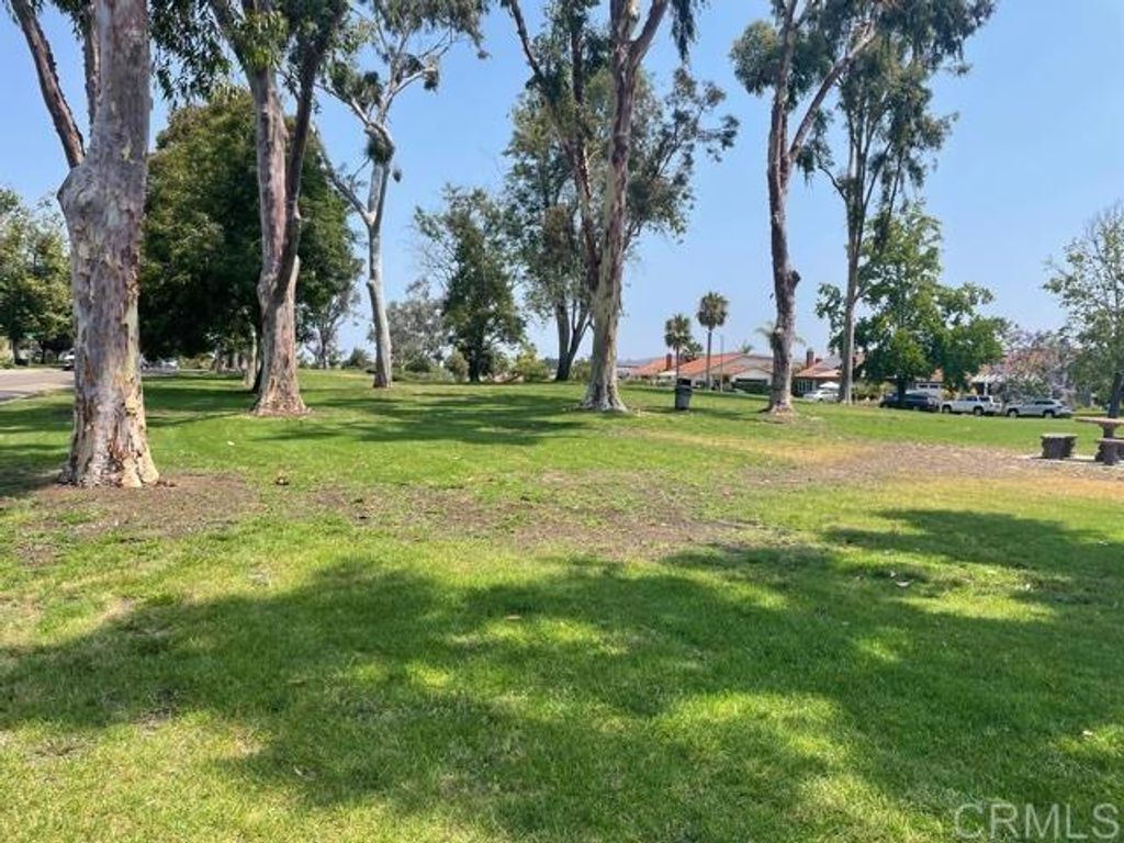 listing image 130725222055729728295