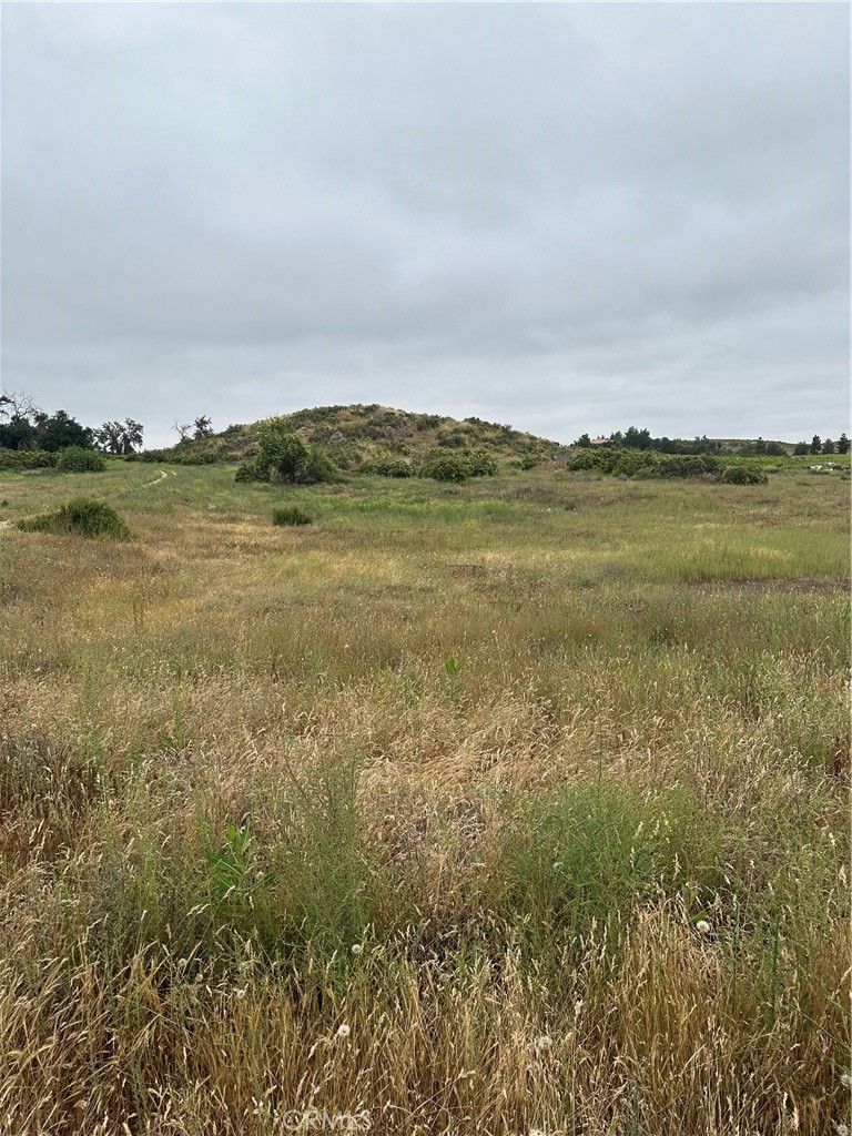 Flat to gentle rolling 19.53 acre in Sycamore Springs Subdivision, with nice knoll for homesite overlooking your lot, perfect for horse ranch, or would make a great vineyard, perfect for custom home, there is a vineyard on the eastern boundary of the property, also property has 2 wells seller believes one of the wells is 23 GPM but buyer will need to have tested to verify, not sure on the GPM for the other well. Close to Hemet, and short drive to Temecula Valley Wine Country, short distance to Diamond Valley Lake or Lake Skinner, Vail Lake, for adult entertainment its a short drive to Pechanga Casino, Soboba Casino, Pala Casino, etc.