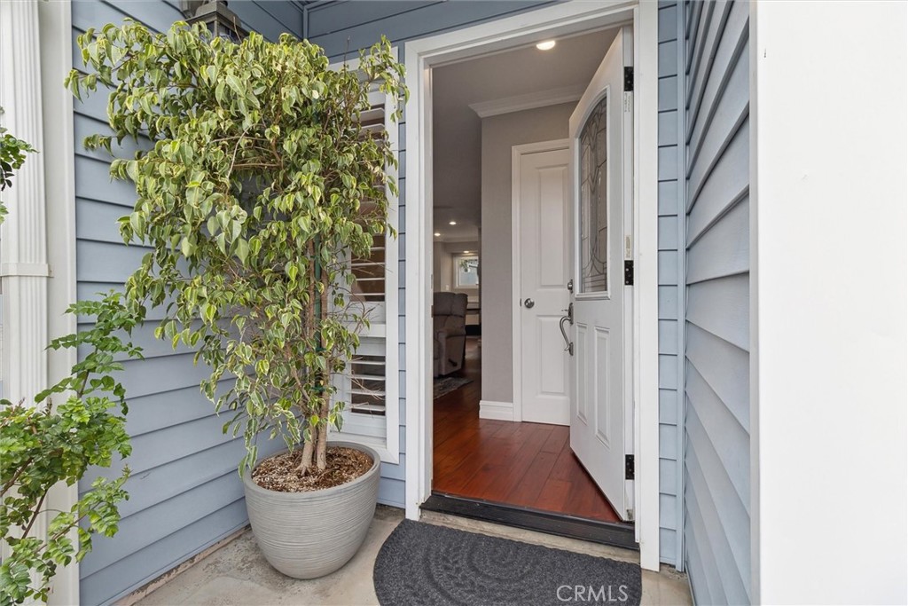 33611 dana vista drive 32