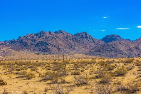 A home in Joshua Tree