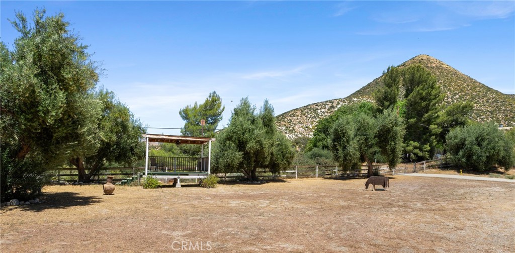 Custom Acton (CACTO) - Residential