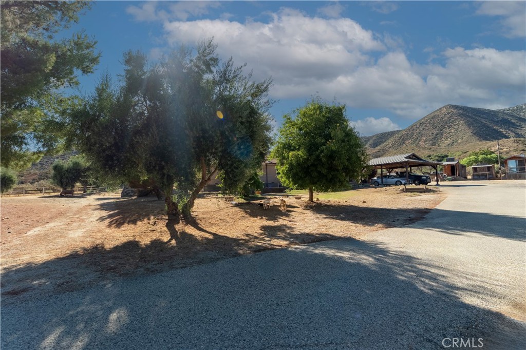 Custom Acton (CACTO) - Residential