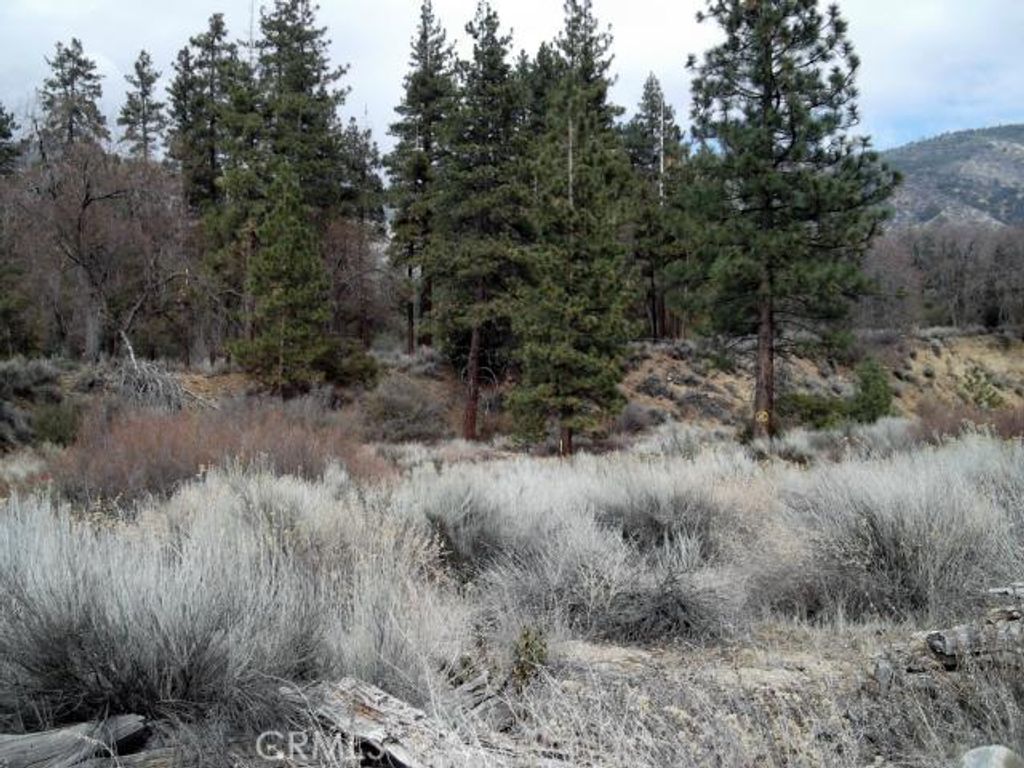listing image 130726513096557566342