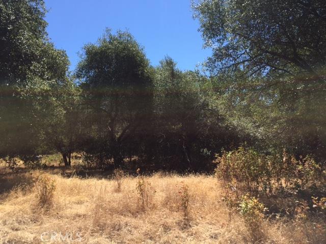 Build your dream home on this great lot close to Lake Oroville and The Dam! Short distance to golf course.