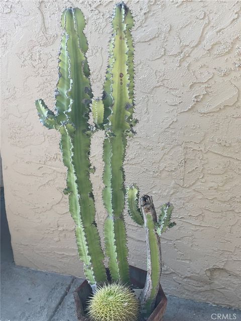 A home in Escondido