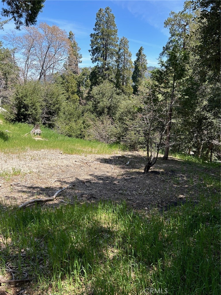 Great Buildable Corner lot in a very nice Lake Gregory neighborhood. You ask for Level you got it! Easy access to utilities, time to take a drive a visit this lot just minutes from the Lake and the Town of Lake Gregory.
