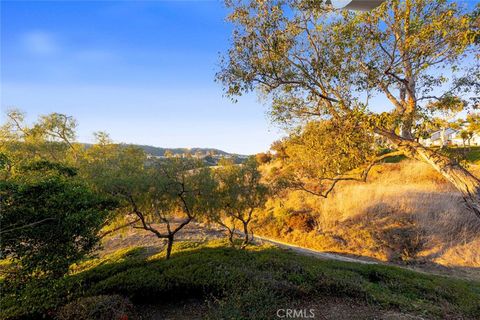 A home in Laguna Niguel