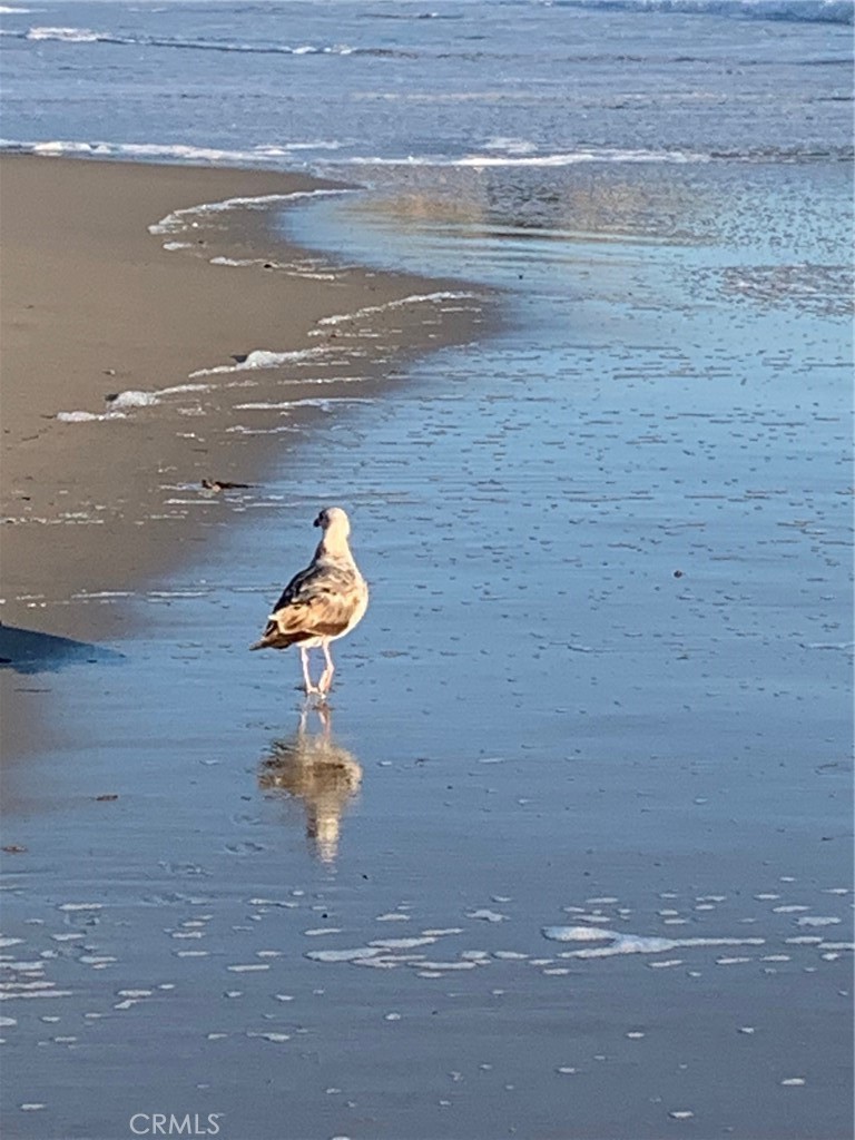 Niguel Shores Custom (NSC) - Residential