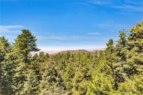 A home in Idyllwild