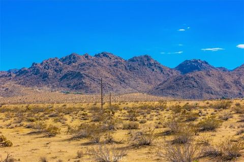 A home in Joshua Tree