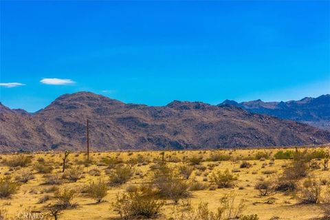 A home in Joshua Tree