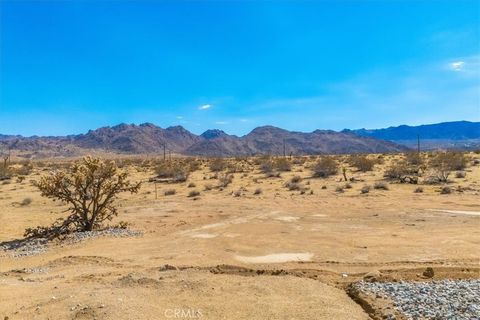 A home in Joshua Tree