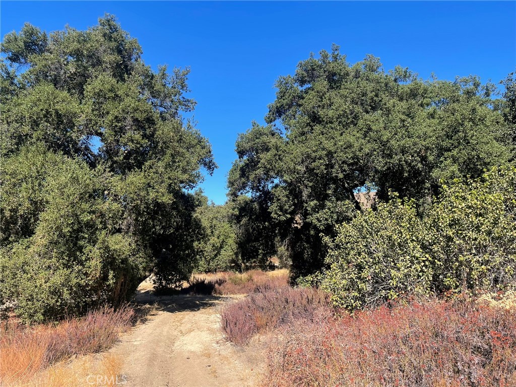 Beautiful 8.69 Acre lot in the unincorporated area of Temecula, Parcel 1 APN# 915-580-005, oak studded, private lot. Beautiful hiking trails, perfect for a home site or weekend getaways. Call agent for maps and aerial photo and directions to the property. Property is within 10 minutes to the Beautiful Temecula wineries.