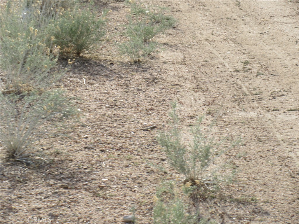 Nice lot in well established neighborhood .water in rear, buyer to get own meter installed
Electrical overhead, buyer to get own meter installed Price Negotiable