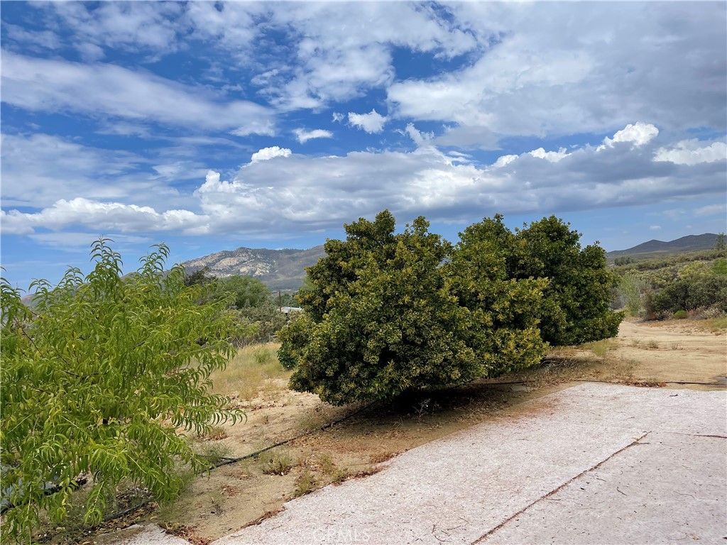 listing image 130720737035959447647
