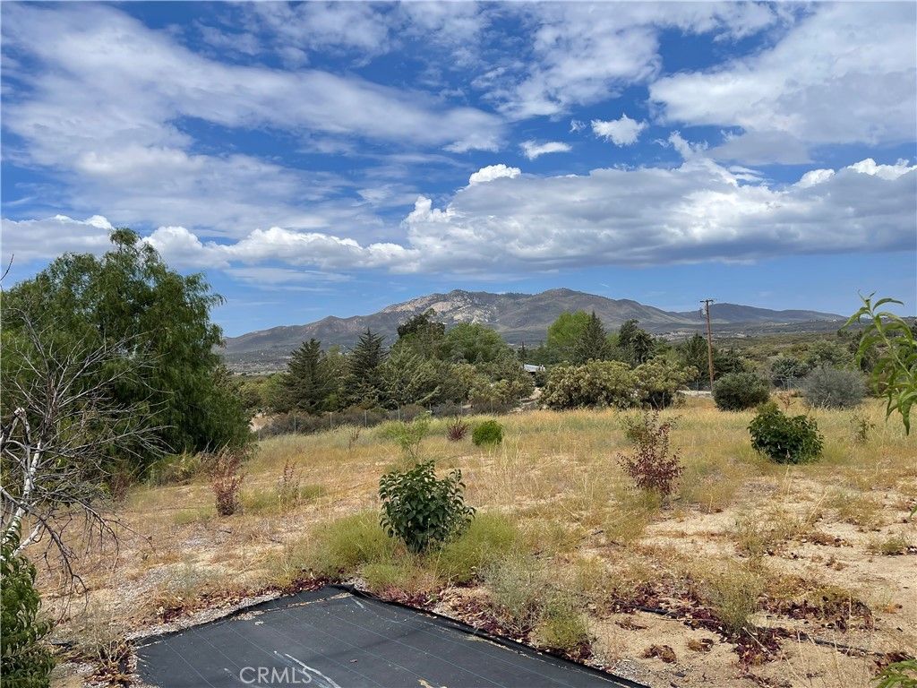 listing image 130727087110730853453