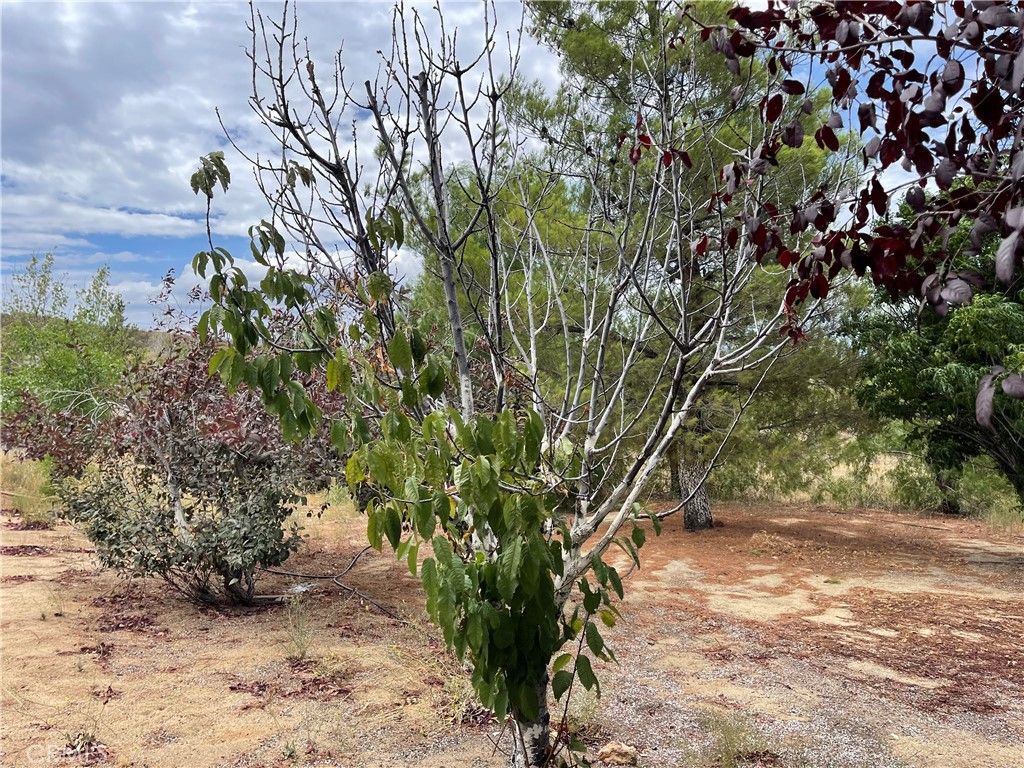 listing image 130724316004213373064
