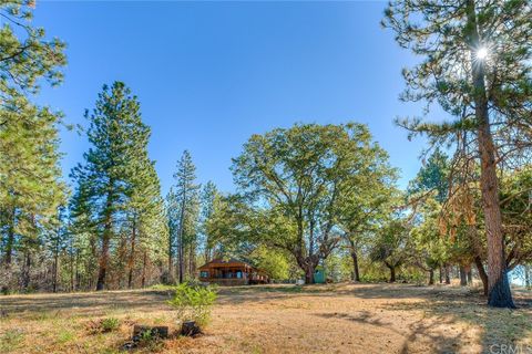 A home in Berry Creek