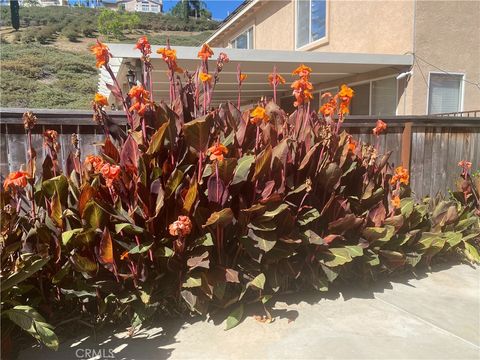 A home in Lake Elsinore