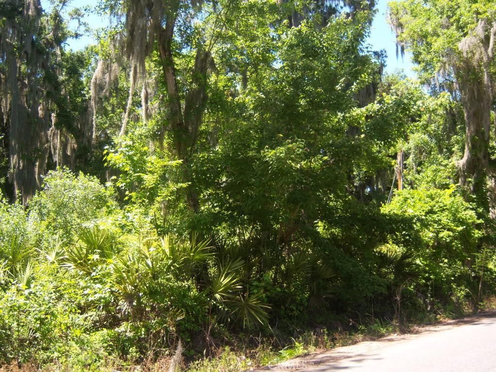 listing image 130726020902007291147