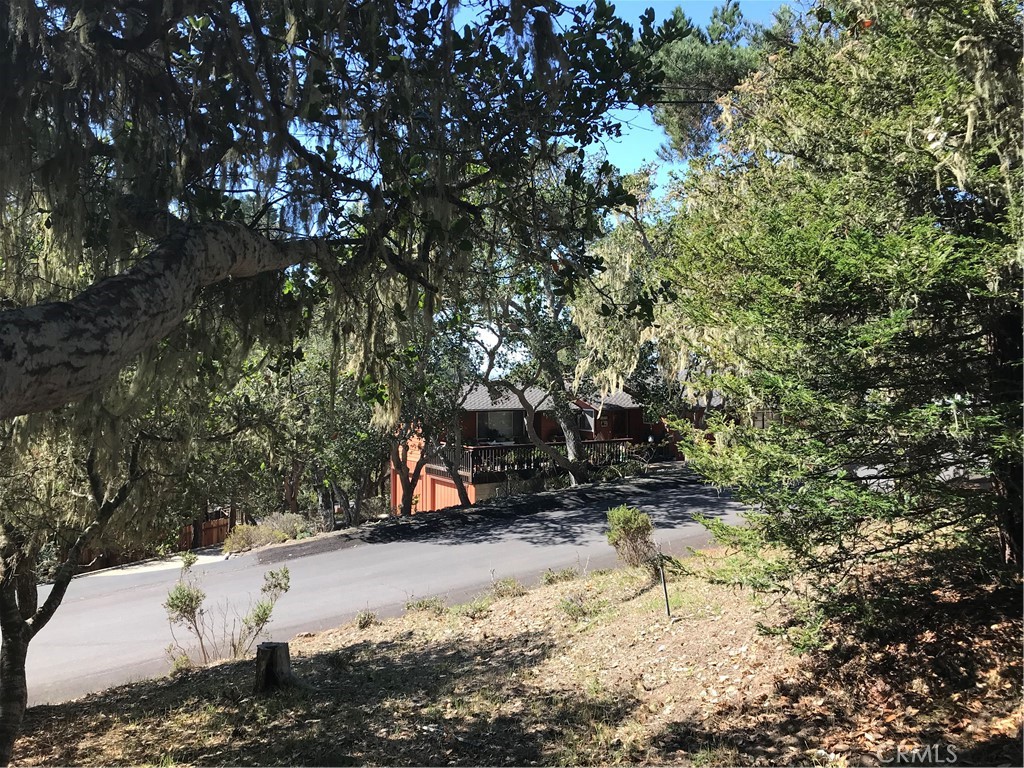 Lodge Hill(430) - Land