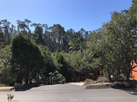 Tiny photo for 0 Saint James Road, Cambria, CA 93428 (MLS # SC22215081)