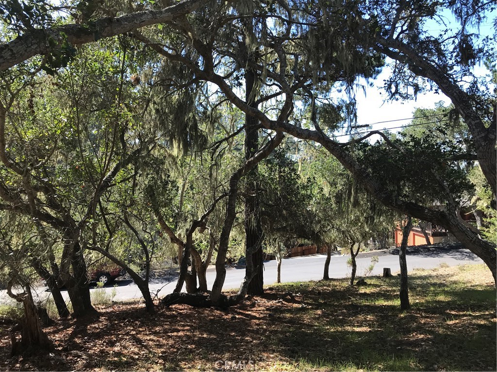 Lodge Hill(430) - Land