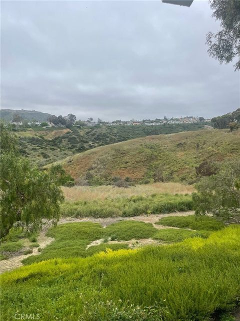 A home in Laguna Niguel