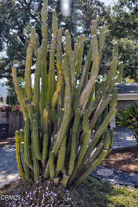 A home in La Crescenta