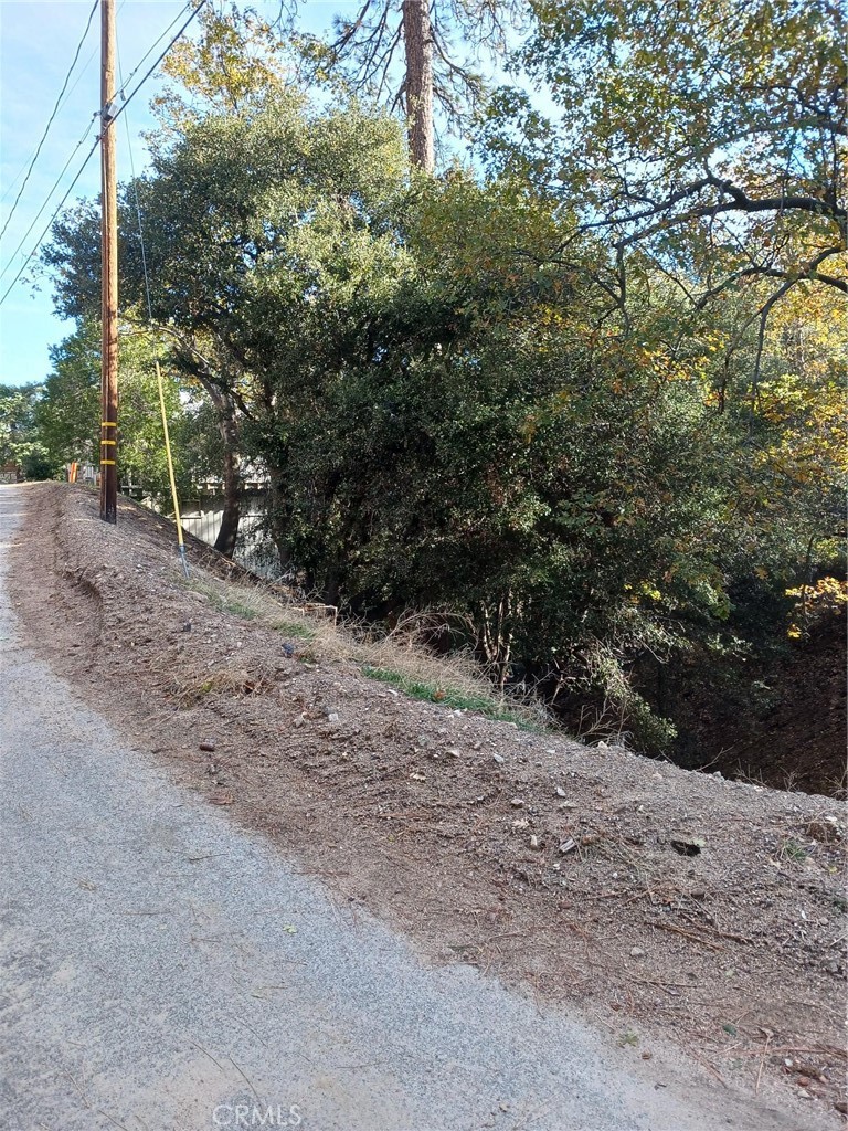 Down sloping lot on a curve which gives it approximately 170 feet of road frontage. This area is for septic systems only, no sewer available. Treed lot. Near Lake Gregory and convenient to town.