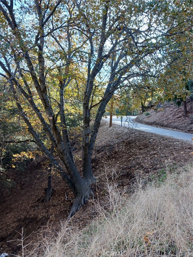 Crestline (CRES) - Land