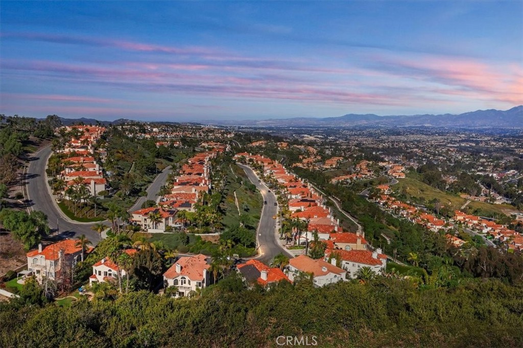 31146 Flying Cloud Dr.