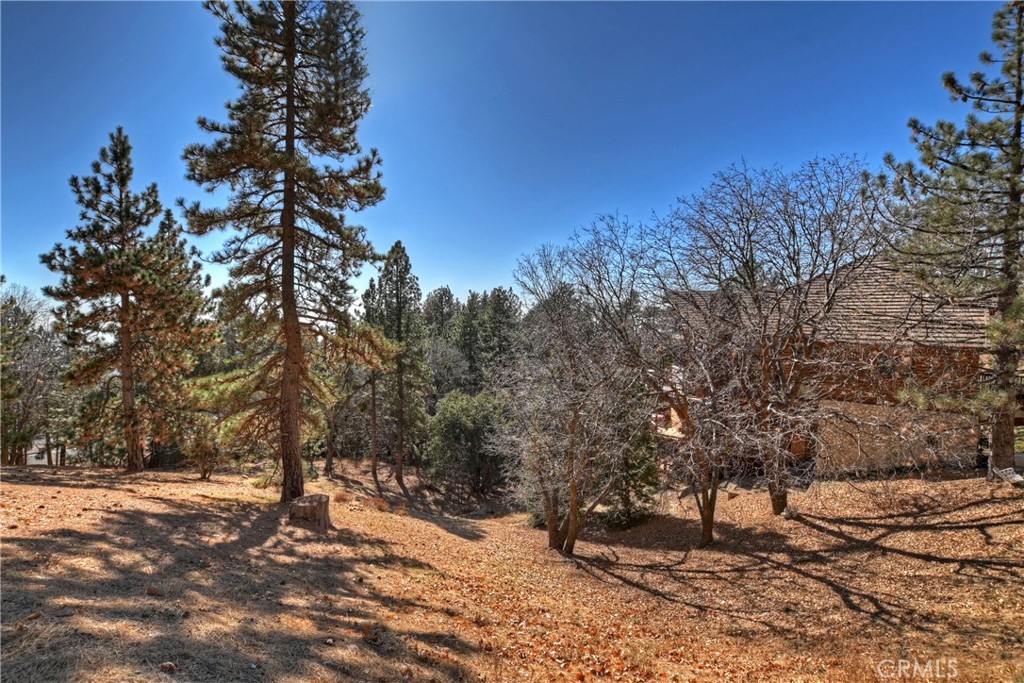 Enchanted Forest (ENFR) - Land