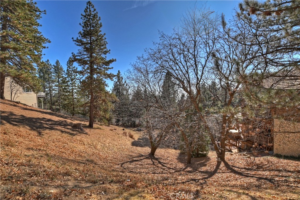 Enchanted Forest (ENFR) - Land