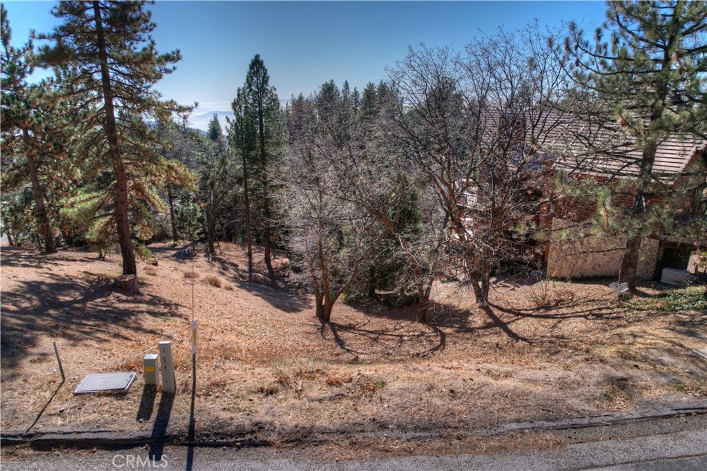 Enchanted Forest (ENFR) - Land