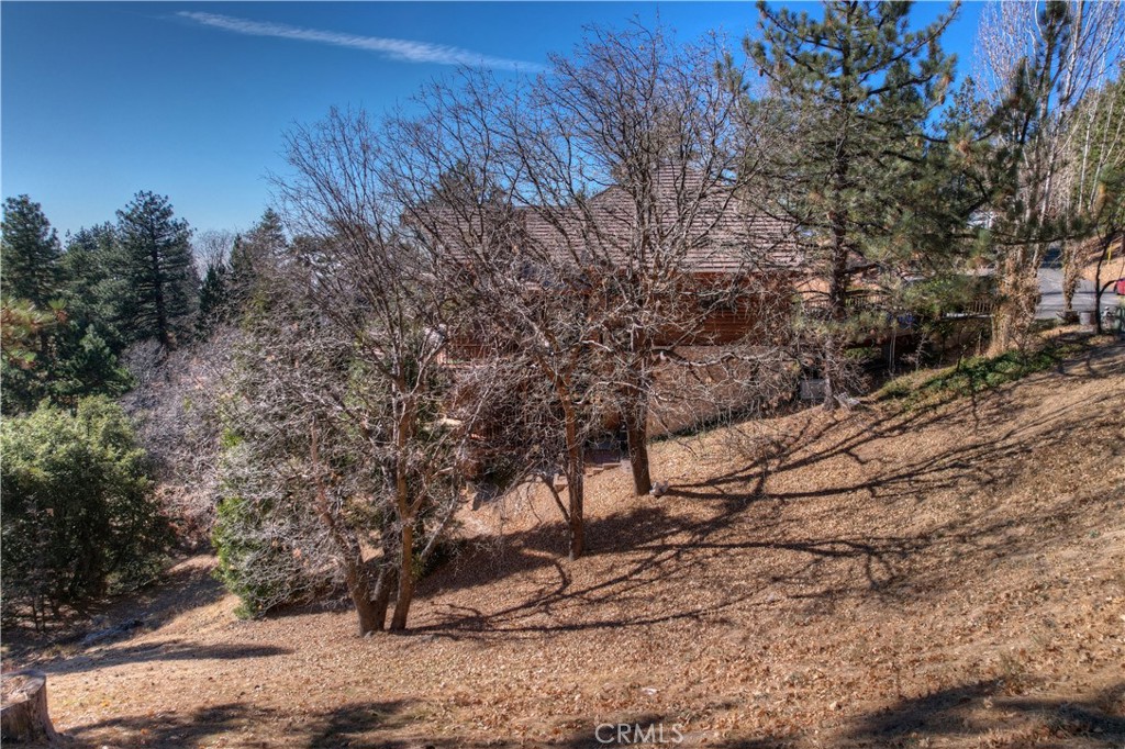 Enchanted Forest (ENFR) - Land