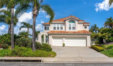 A home in Laguna Niguel