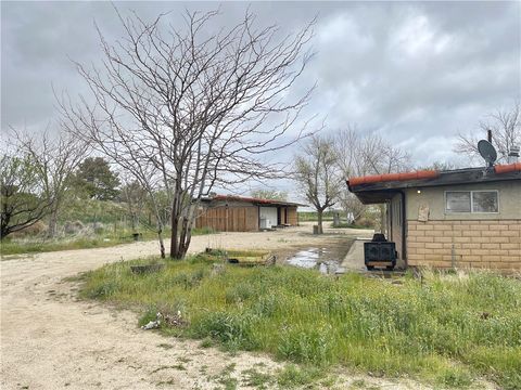 A home in Rosamond